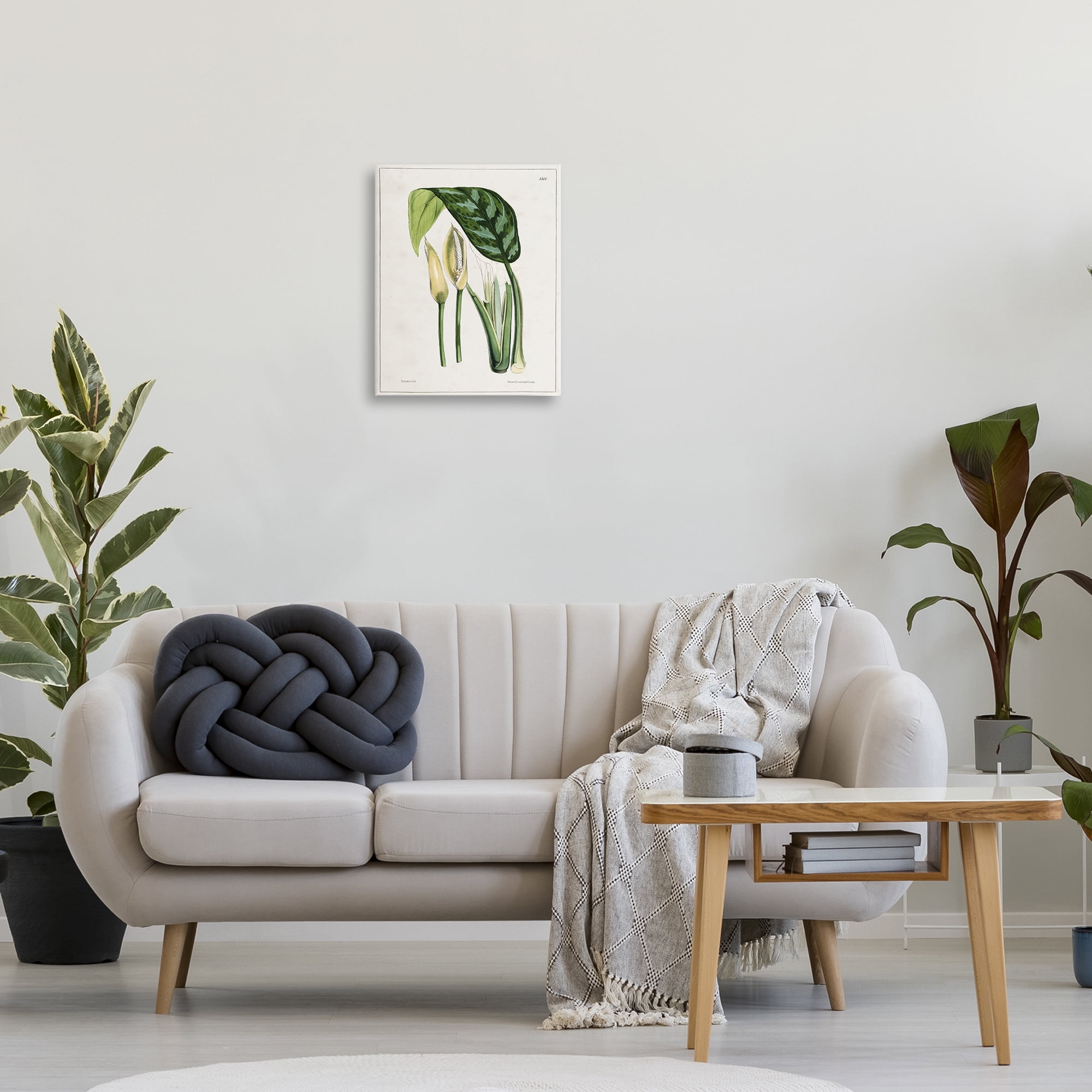 Stupell Industries Pond Plant Study Plants & Flowers Painting Wrapped Canvas Art Print Wall Art, 16 x 20