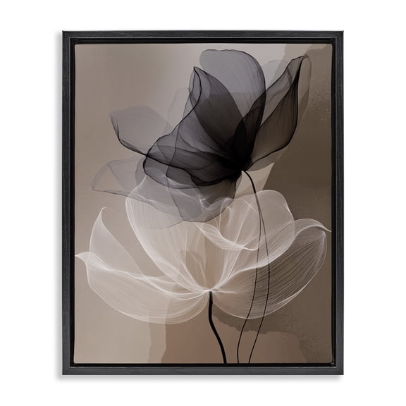 Stupell Industries Modern Gauzy Flowers on Brown Black Floating Frame Canvas Art, 17 x 21, by Annabelle Hall