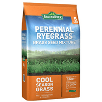 GroundWork 201AX0004UC-5 Perennial Ryegrass Coated Grass Seed, 5 lb.