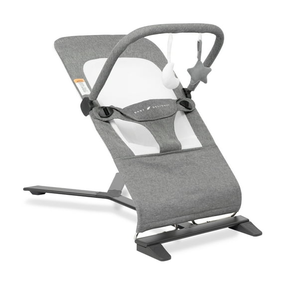Open Box Baby Delight Alpine Deluxe Portable Baby Bouncer, for Infants 0-6 Months, Charcoal Tweed