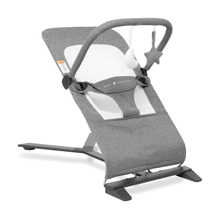 Baby Delight Alpine Portable Baby Bouncer, Charcoal Tweed photo 1