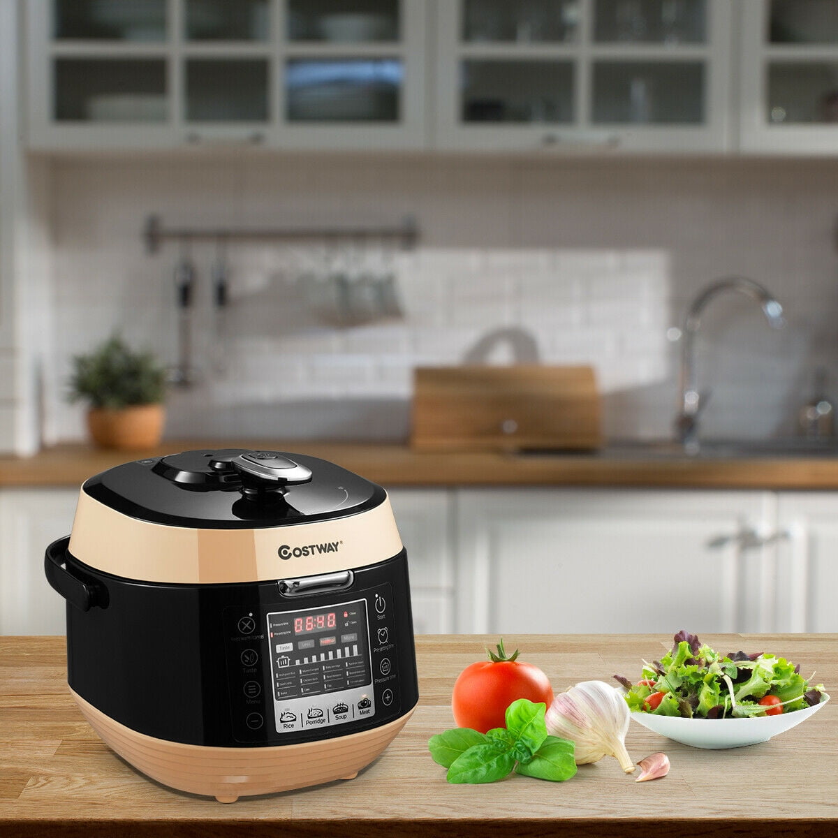 Costway pressure cooker hotsell