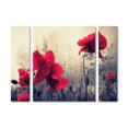 thumbnail image 1 of Trademark Fine Art Psl0113-3 Pcs-Ensemble-Lg Rouge pour Amour, Grand, 1 of 9