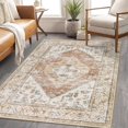 thumbnail image 1 of HAHDAXIA Boho Washable Living Room Area Rug 3x5 Throw Non-Slip Rugs for Bedroom Aesthetic Lightweight Thin Entry Kitchen Persian Distressed Print Capet Office Bathroom Laundry Room,Persian Ta, 1 of 6