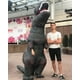 thumbnail image 5 of Disfraz inflable de dinosaurio Piamif para adulto, T-Rex, negro, 5 of 7