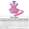 thumbnail image 7 of SPRING PARK Small Pet Vest Harness Leash Set Walk Outdoor Dog Puppy Cat Soft Mesh Breathable Convenient Dual Use, 7 of 7