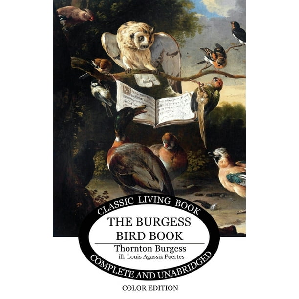 The Burgess Bird Book in color (Paperback)