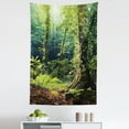 thumbnail image 1 of Rainforest Tapestry, Morning Sunbeam Through Wild Forest Ivy on Trees Tranquility in Nature Eco, Fabric Wall Hanging Decor for Bedroom Living Room Dorm, 5 Sizes, Green Brown, by Ambesonne, 1 of 1