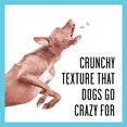 thumbnail image 4 of BIXBI Liberty Ruff Puffs, Rotisserie Chicken Flavored, Crunchy Treats for Dogs, 4 oz, 4 of 8