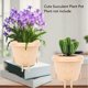 thumbnail image 4 of Linda Maceta Para Plantas Suculentas, Maceta Con Cara Sonriente, Pequeña, única, 2 Piezas Para Patio, 4 of 7
