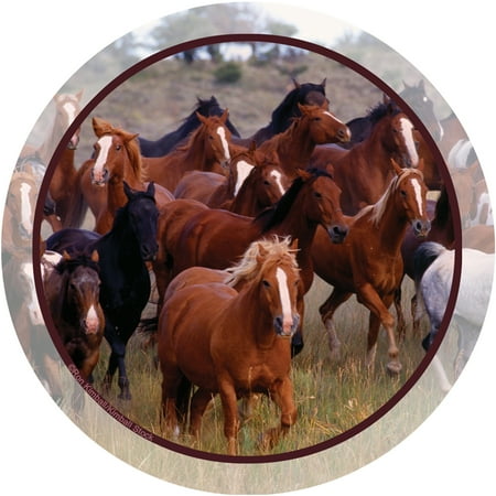 Thirstystone Occasions Drink Coasters, Horse Collage