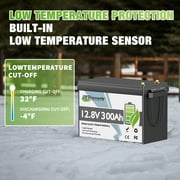 2PACK 12V 300Ah LiFePO4 Lithium Battery,TCBWORTH for RV,Solar,Marine,Caming,Home Energy Storage,off Grid,Built in 200A BMS,15000+ Deep Cycles