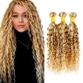 thumbnail image 1 of Hair Bundles CnumGunm P30/613 Water Wave, 2 tonos, 56 a 66 cm, 1 of 6