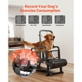 thumbnail image 4 of KFFKFF Tapis Roulant pour Chien pour Petits/moyens Chiens, Machine de Course pour Animaux de Compagnie, Tapis de Course à Lattes avec Réglage Continu, Frein et Roues, 4 of 9