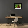 thumbnail image 3 of Paulson, Don 14x11 Black Ornate Wood Framed with Double Matting Museum Art Print Titled - AK, Lake Clark NP Abstract of fishing flies, 3 of 4
