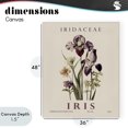 thumbnail image 4 of Stupell Industries Scandinavian Natural Iris Bundle Canvas Art, 36 x 48, by Christopher Giampietro, 4 of 8
