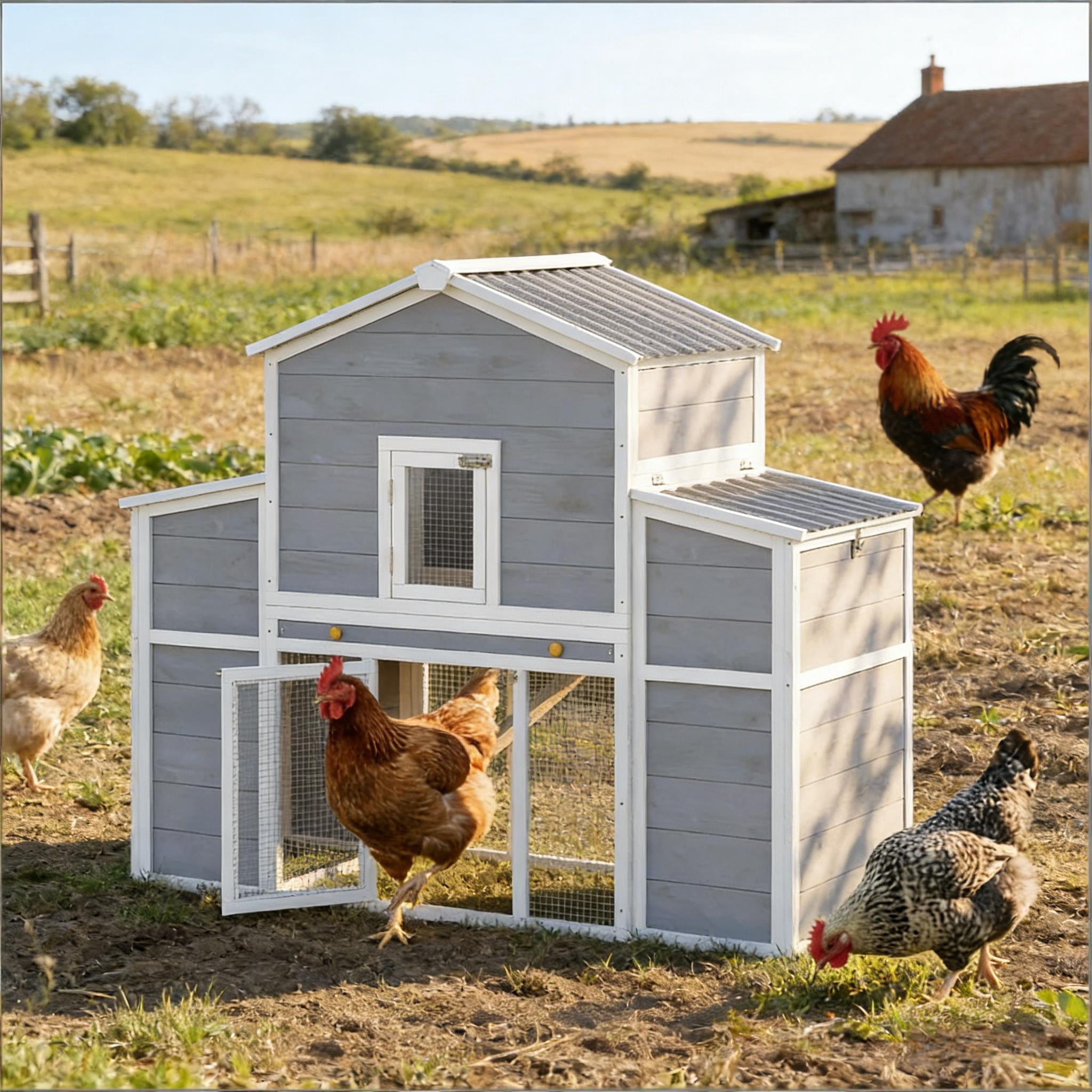 Wooden Pet House, Large Chicken Coop, Chicken House