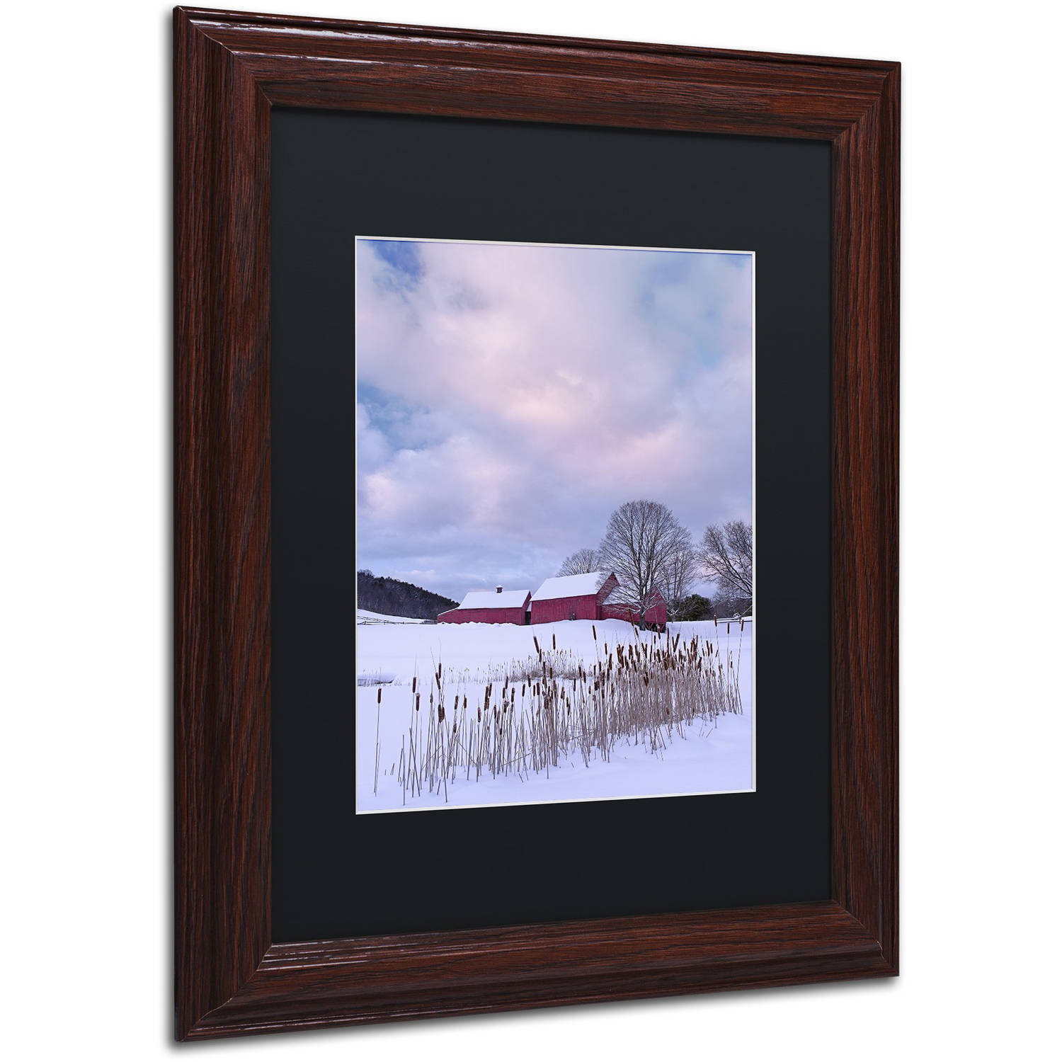 Trademark Fine Art "Cat O'Nine In Snow" Canvas Art by Michael Blanchette Photography Black Matte, Wood Frame