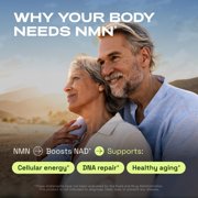Cata-Kor NMN Supplement – 4-in-1 NAD Supplement with Quercetin | TMG | Resveratrol – NMNH Alternative – Supports Cellular Energy & NAD+ Level – 60 Capsules – Third-Party Tested