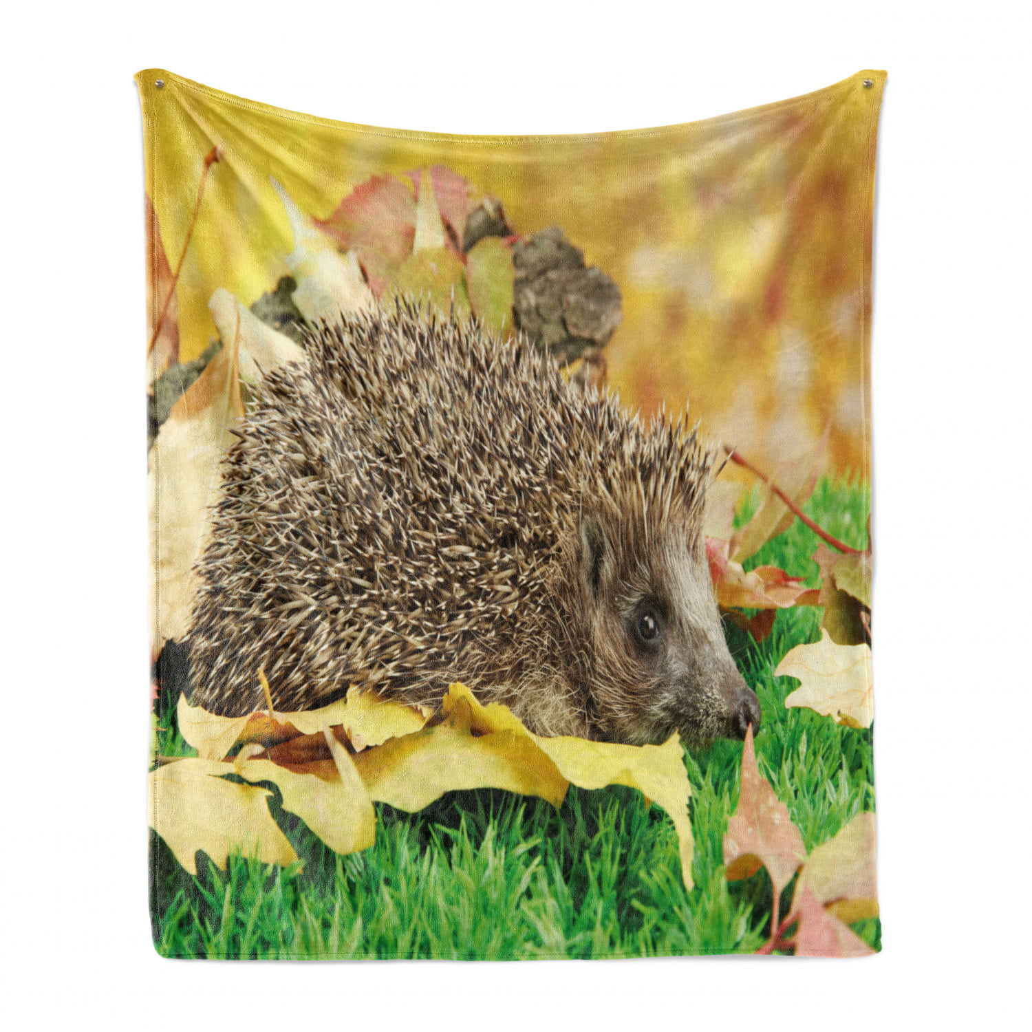 60 x 80 Flannel Fleece Accent Piece Soft Couch Cover for Adults Multicolor Ambesonne Hedgehog Throw Blanket Various Autumn Leaves from Different Trees Animals Carrying Nuts Nature Inspired