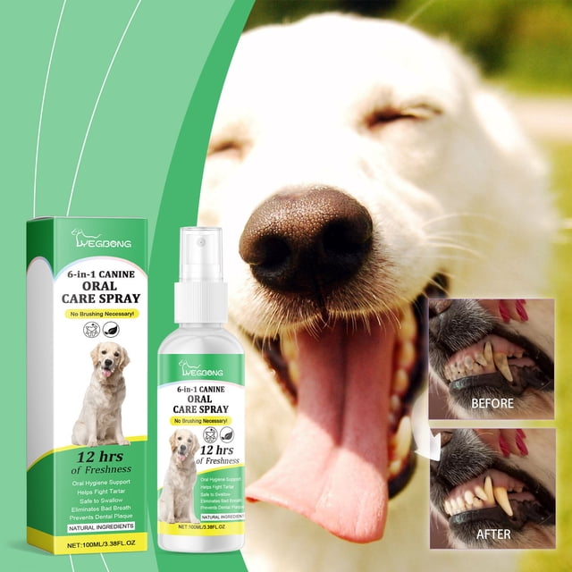 xihbxyly spray para el cuidado bucal de perros, spray de 100 ml blanco con etiqueta verde mostrado junto a su caja verde; vista frontal con boquilla pulverizadora visible y recuadros de antes/después de los dientes, fondo con perro con lengua afuera, enjuague bucal para perros de uso fácil y práctico para aliento fresco; también adecuado para refrescar el aliento antes de visitas o viajes.