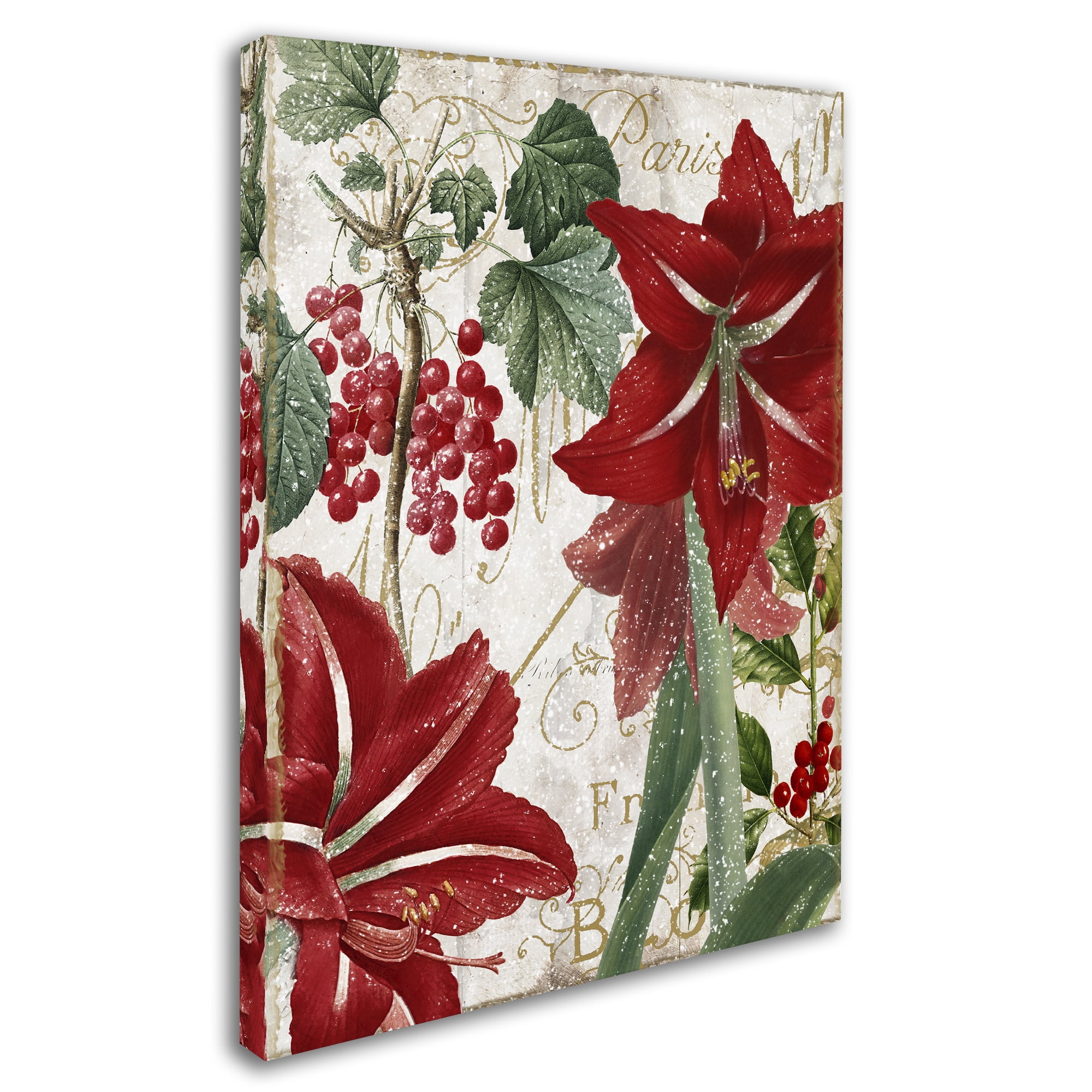 Color Bakery 'Amaryllis' 14 x 19 Canvas Art