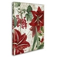 thumbnail image 3 of Color Bakery 'Amaryllis' 14 x 19 Canvas Art, 3 of 3