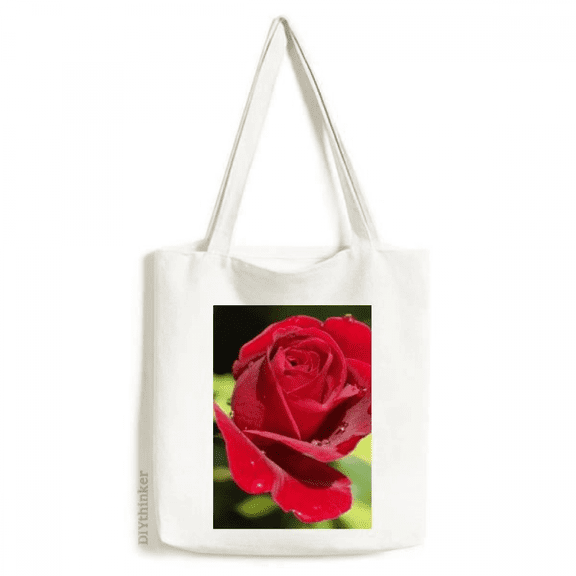 Dark Red Roses Flowers Art Deco Fashion Tote Canvas Bag Shopping Satchel Casual Handbag