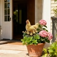 thumbnail image 3 of Resin Hen and Chicks Garden Stake Figurine Farm Animal Sculpture Outdoor Yard Lawn Decor Ornament for Landscaping, 3 of 6