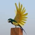 thumbnail image 2 of Juguete de Decoración Pájaro de Emución Artificial Grande Macarena Pájaro artificial, 2 of 6