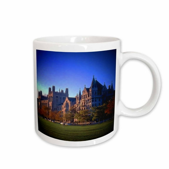 3drose, University of Chicago, 11oz Mug