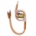 thumbnail image 1 of Panda la gran muralla Palacio Imperial China Graffiti Cable de carga telescópico múltiples USB tres en uno, 1 of 3