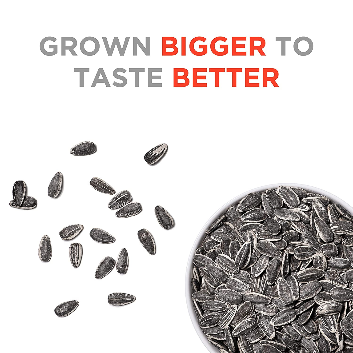 Klein Bros Jumbo  Sunflower Seeds, 16 oz