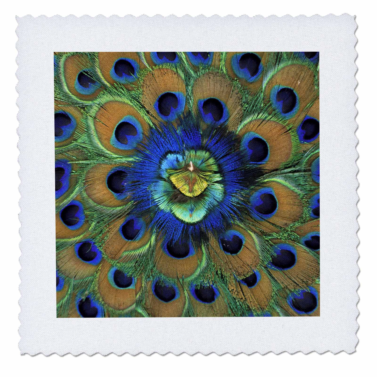 3dRose Natural Peacock Feather Patterns, AS10 DFR0096 David R