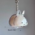 thumbnail image 6 of Joernso 1/4Pcs Pet Rabbit Hair Keychain Keepsake Capsule Memorial Pendant Hair Storage Bottle Transparent Pet Hair Key Chain, 6 of 8