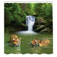 thumbnail image 2 of Ambesonne Savannah Shower Curtain, Siberian Tigers in Lake, 69"Wx84"L, Reseda Green and Orange, 2 of 4