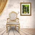 thumbnail image 3 of Wild, Jamie and Judy 15x18 Gold Ornate Wood Framed with Double Matting Museum Art Print Titled - Washington State-Central Cascades-Waterfall at Kendall Peak, 3 of 4