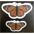 thumbnail image 6 of BUTTERFLY, 6 of 12