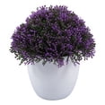 thumbnail image 1 of planta artificial decorativa con maceta blanca, 1 of 5