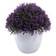 thumbnail image 1 of planta artificial decorativa con maceta blanca, 1 of 5