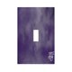 thumbnail image 1 of Panel de interruptores de pared con marco romano de cuero individual Ravens Switching Lights, interruptor de luz individual, doble o con tirador, 1 of 8