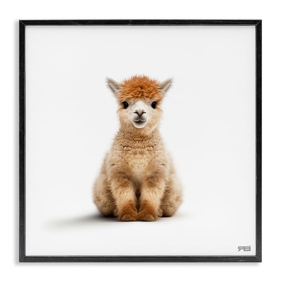 Stupell Industries Minimalist Baby Alpaca Portrait Black Framed Giclee Art, 24 x 24, by RB