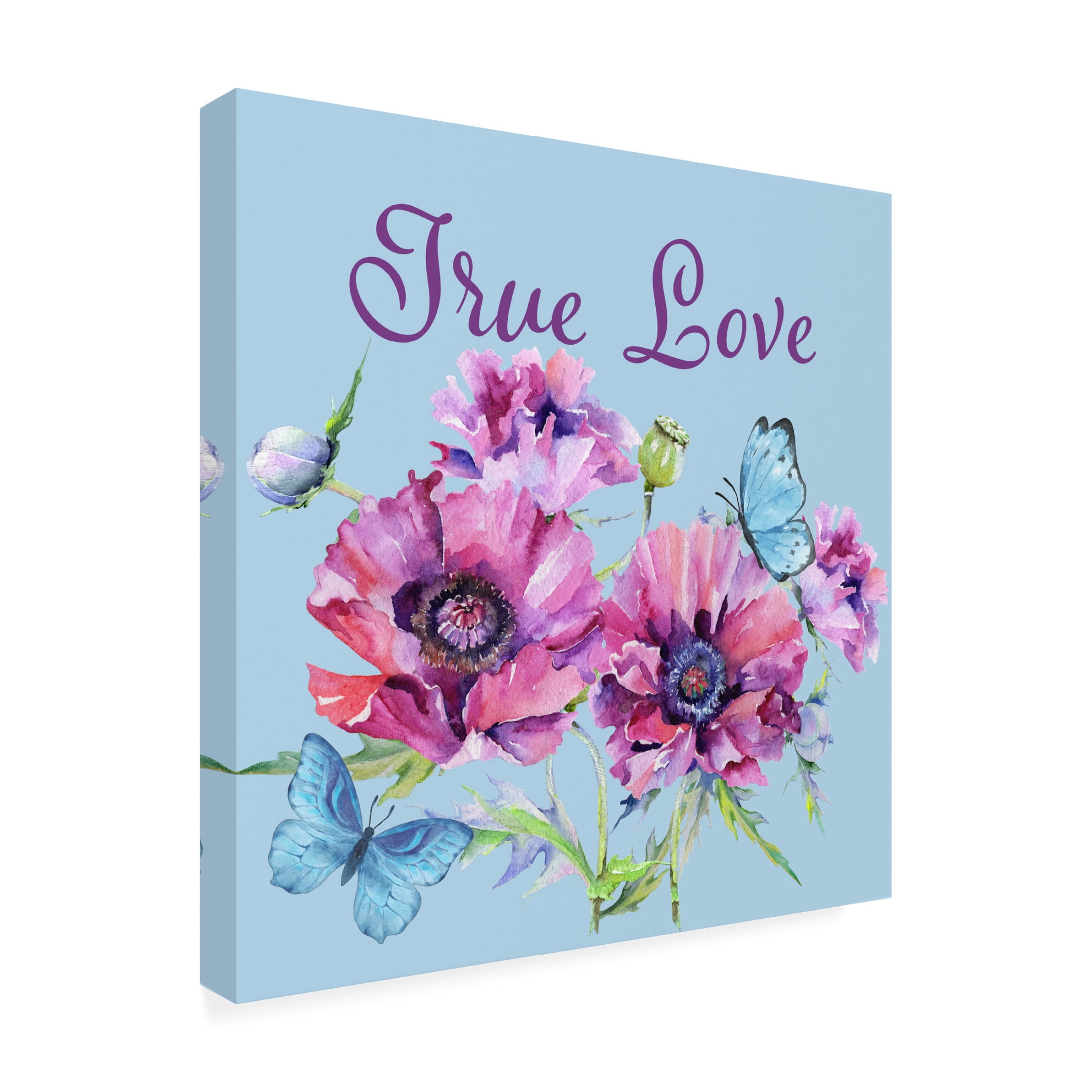Canvas Wall Art - Jean Plout 'True Love' Wall Art for Living Room, Bedroom, or Office Décor by Trademark Fine Art - 24 x 24 Inches