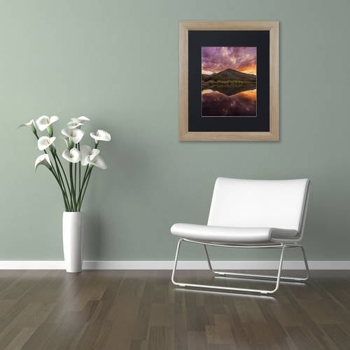Trademark Fine Art "Glamor in the Sky" Canvas Art by Michael Blanchette Photography Black Matte, Birch Frame