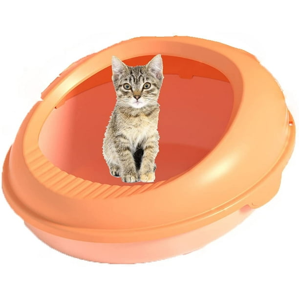 Egg cat 2024 litter box