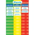 thumbnail image 1 of Scholastic Teacher's Friend 3-Column Chart Pocket Chart, Multiple Colors (TF5114), 1 of 1
