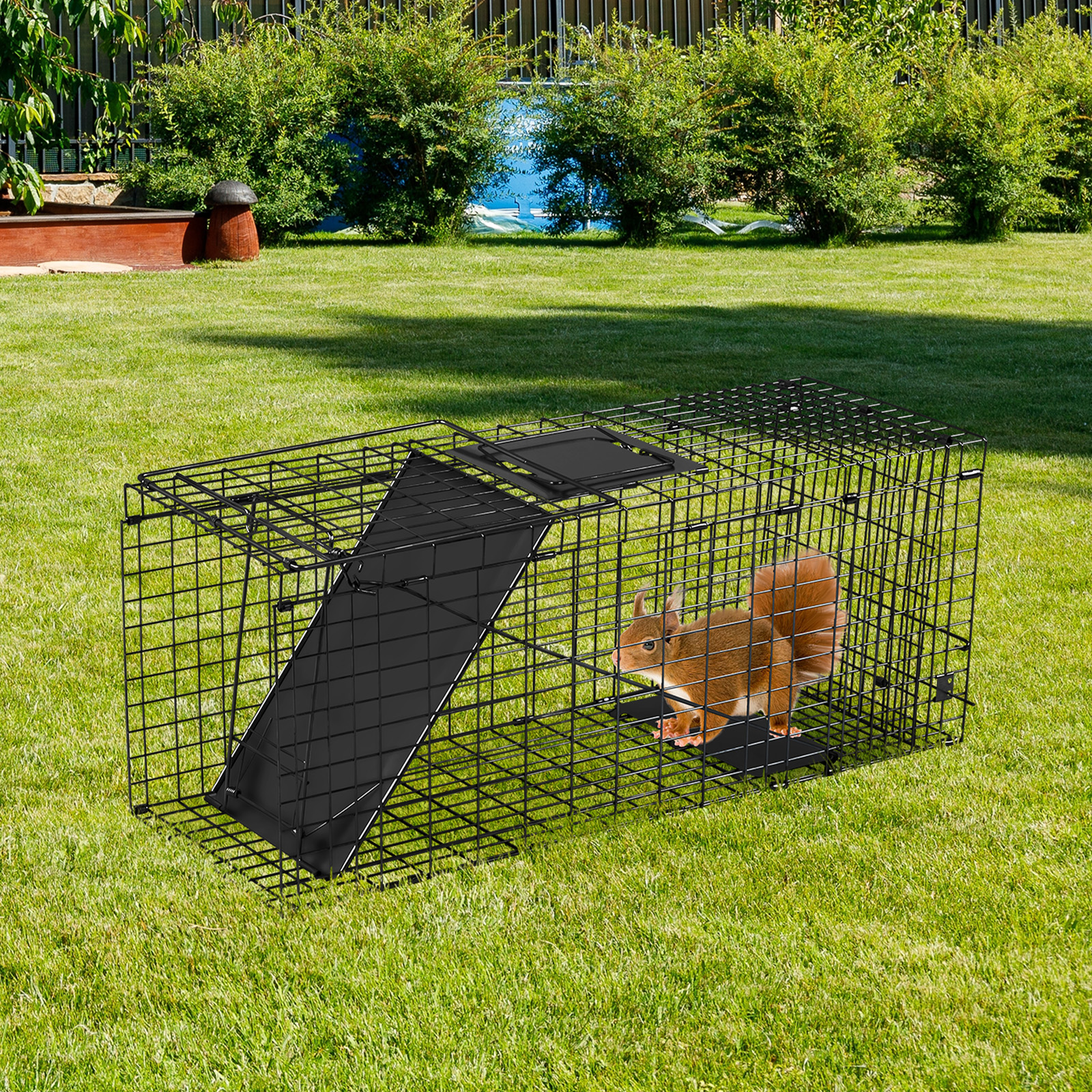 ZephyPaws 32" Live Animal Cage Trap,Heavy Duty Folding Raccoon Traps, Humane Cat Trap for Stray Cats,Raccoons,Squirrel,Skunk,Mole,Groundhog,Armadillo,Rabbit,Catch and Release,Black