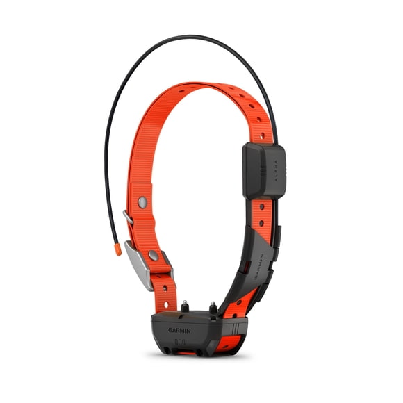 Collier de Suivi et d'Entraînement pour Chien GPS Garmin Alpha TT 25