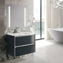 Eviva Luna 24" Dark Grey Wallmount Bathroom Vanity with Integrated Porcelain Sink