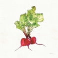 thumbnail image 3 of Tavoletti, Anne 15x15 Black Modern Framed Museum Art Print Titled - Veggie Market II Radish, 3 of 5